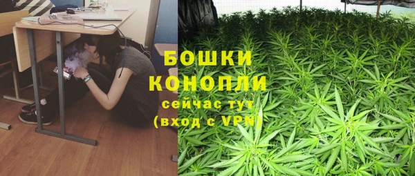 ПСИЛОЦИБИНОВЫЕ ГРИБЫ Балахна