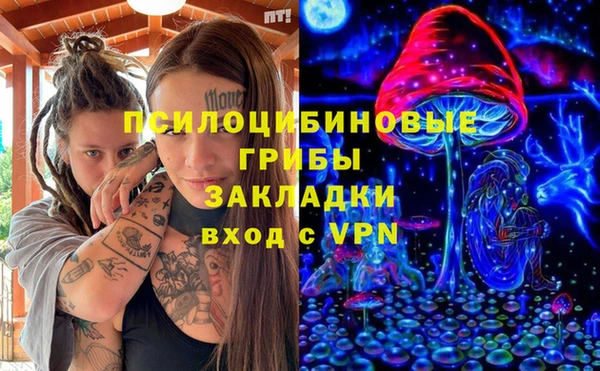 ПСИЛОЦИБИНОВЫЕ ГРИБЫ Балахна