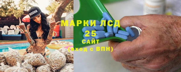 ПСИЛОЦИБИНОВЫЕ ГРИБЫ Балахна