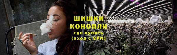 ПСИЛОЦИБИНОВЫЕ ГРИБЫ Балахна